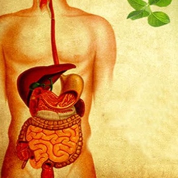 intro-banner
